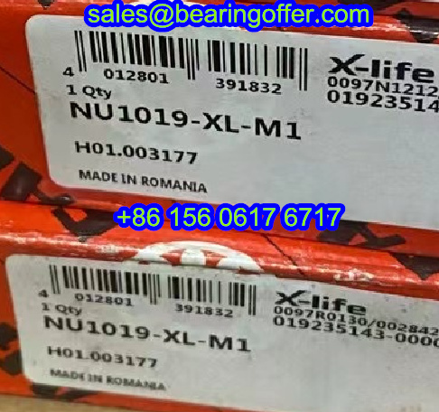 NU1019-XL-M1 Cylindrical Roller Bearing 95x145x24 Rolling Bearing H01.003177 - Stock for Sale