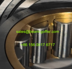 F-218523.01.RNU Hydraulic Pump Bearing F-218523.01 Roller Bearing - Stock for Sale