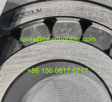 MU1309UM Cylindrical Roller Bearing 45x100x25 Rolling Bearing - Stock for Sale