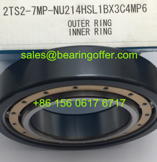 2TS2-7MP-NU214HSL1BX3C4MP6 Insulated Bearing 70*125*24 Roller Bearing - Stock for Sale