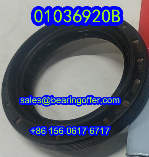 01036920B Automobile Shaft Oil Seal 45x65x9 Oil Seals - Stock for Sale