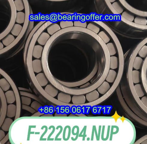 F-222094 Hydraulic Pump Bearing 70*125*36 Roller Bearing F-222094.NUP - Stock for Sale