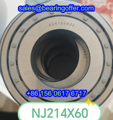 NJ214X60 Cylindrical Roller Bearing 60x125x22 Rolling Bearing - Stock for Sale