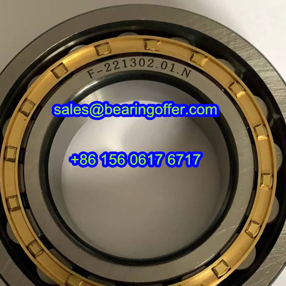 F-221302.01.N Cylindrical Roller Bearing 55x104x27 Rolling Bearing F-221302.01 - Stock for Sale