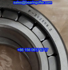 F-202808.02.NUP Hydraulic Pump Bearing F-202808.2 Roller Bearing F-202808.02 - Stock for Sale