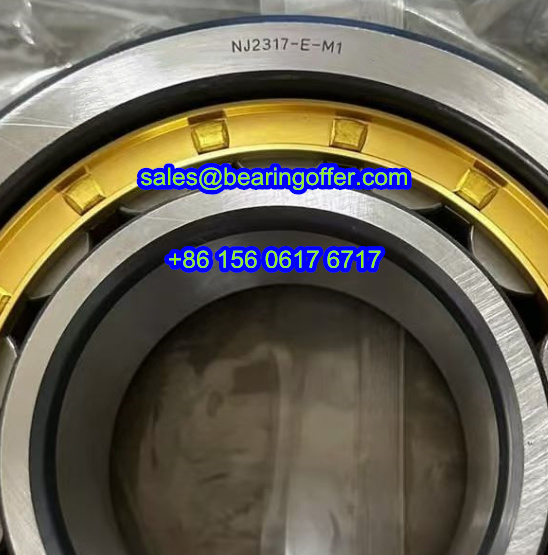 NJ2317-E-M1 Cylindrical Roller Bearing 85x180x60 Rolling Bearing NJ2317 - Stock for Sale