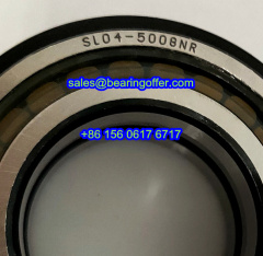 SL045008NR Crane Hoister Bearing 40*68*38 Roller Bearing SL04-5008NR - Stock for Sale