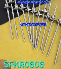 SFKR0606 Ball Screw Nut SFKR-0606 Ball Bearing - Stock for Sale