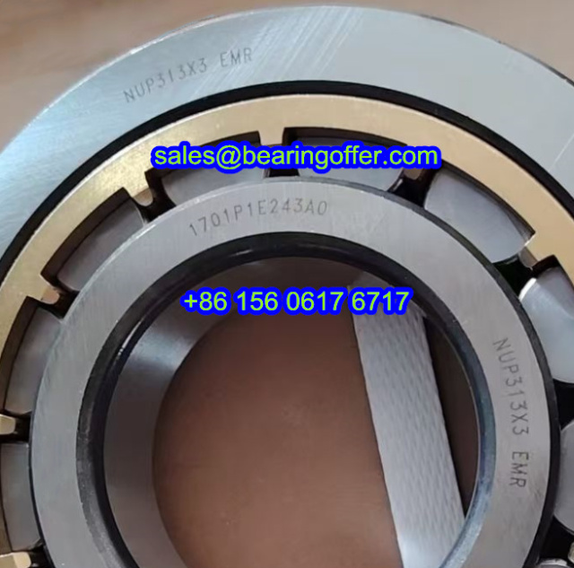 NUP313X3 EMR Cylindrical Roller Bearing 1701P1E243A0 Rolling Bearing - Stock for Sale