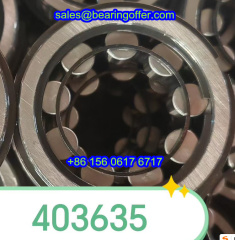 403635 Cylindrical Roller Bearing 403635 Rolling Bearing - Stock for Sale