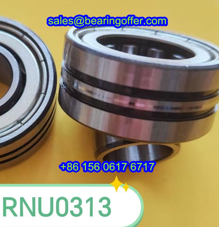 RNU0313ZZ Automobile Bearing 17x40x18 Roller Bearing RNU0313 - Stock for Sale