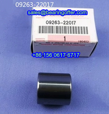09263-22017 Automobile Bearing 22*29*30 Roller Bearing - Stock for Sale