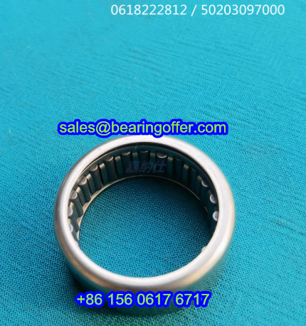 0618222812 Automobile Bearing 50203097000 Roller Bearing - Stock for Sale