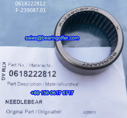 F-239087.01 Automobile Bearing 0618222812 Roller Bearing - Stock for Sale