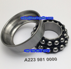 A2239810000 Differential Bearing A223 981 0000 Ball Bearing - Stock for Sale