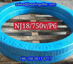 NJ18/750V Cylindrical Roller Bearing NJ18/750V/P6 Rolling Bearing - Stock for Sale
