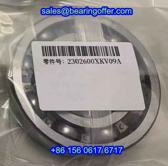 2302600XKV09A Automobile Bearing 43*85*17.2 Ball Bearing - Stock for Sale