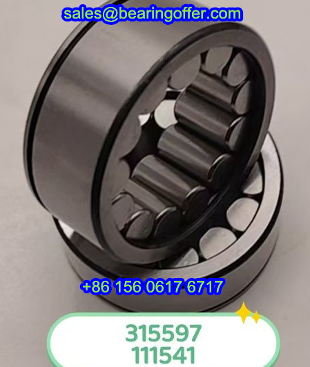 111541 Transmission Bearing 111541 Roller Bearing - Stock for Sale