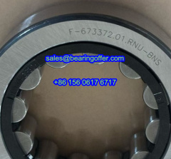 F-673372.01.RNU-BNS Automobile Bearing 34*62*17 Roller Bearing F-673372.01 - Stock for Sale