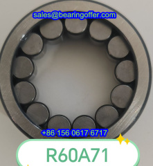 R60A71 Cylindrical Roller Bearing R60A71 Rolling Bearing - Stock for Sale