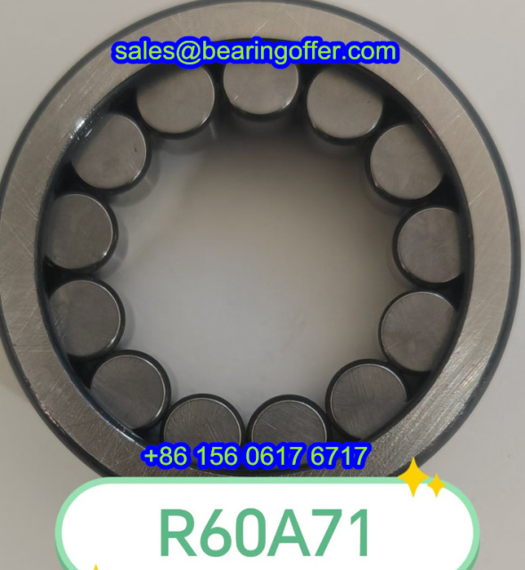 R60A71 Cylindrical Roller Bearing R60A71 Rolling Bearing - Stock for Sale