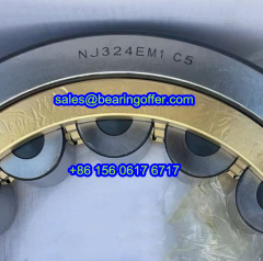 NJ324EM1 P5 Cylindrical Roller Bearing 120*260*55 Rolling Bearing NJ324EM1P5 - Stock for Sale