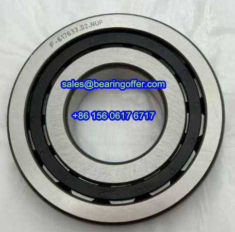 F-617633.02.NUP Automobile Bearing F-617633.02 Roller Bearing F-617633 - Stock for Sale