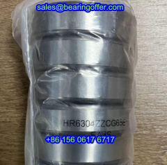 HR6304 Vacuum Pump Bearing HR6304Z Rolling Bearing HR6304ZZCG65E - Stock for Sale