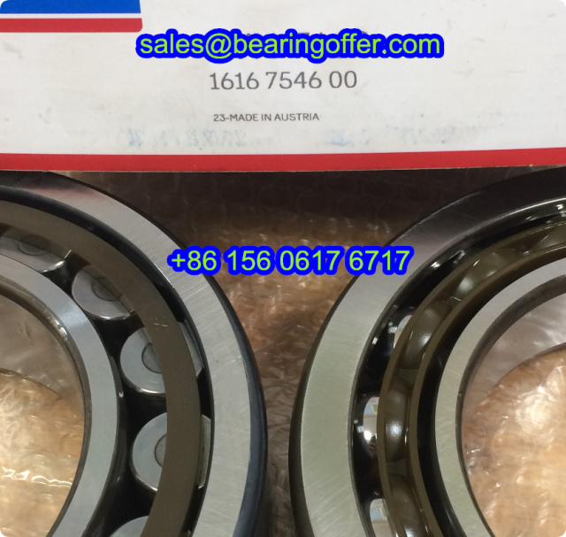 1616 7546 00 Air Compressor Bearings 1616754600 Rolling Bearing - Stock for Sale