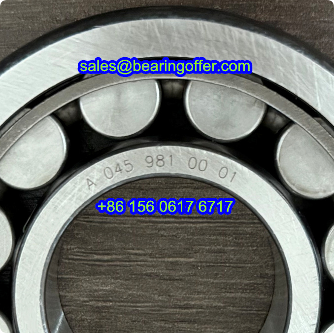 A 045 981 00 01 Automobile Bearing A0459810001 Roller Bearing A045 981 00 01 - Stock for Sale