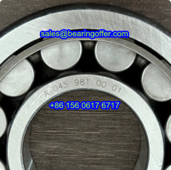 A 045 981 00 01 Automobile Bearing A0459810001 Roller Bearing A045 981 00 01 - Stock for Sale