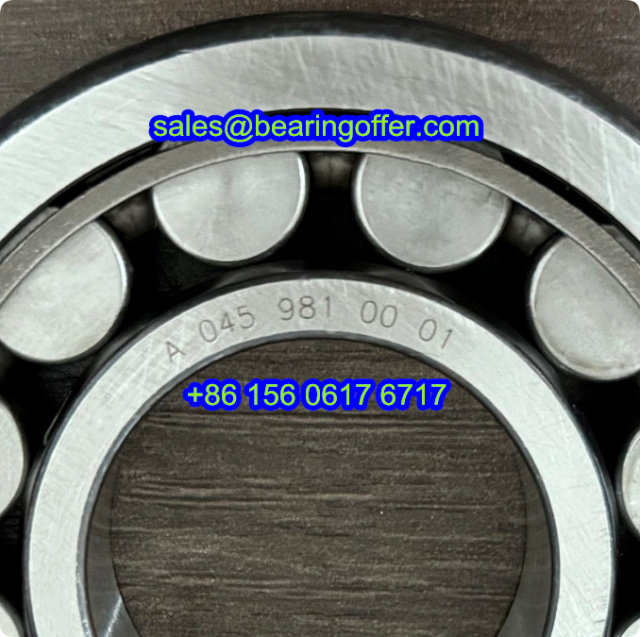 A 045 981 00 01 Automobile Bearing A0459810001 Roller Bearing A045 981 00 01 - Stock for Sale