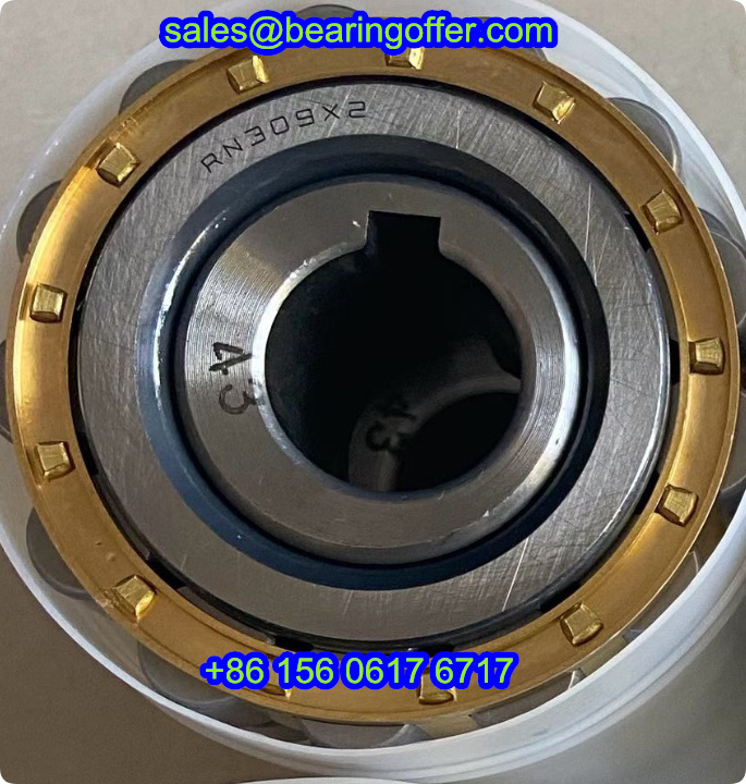 RN309X2 Cylindrical Roller Bearing RN309 X2 Bearing for Gear Reducer - Stock for Sale