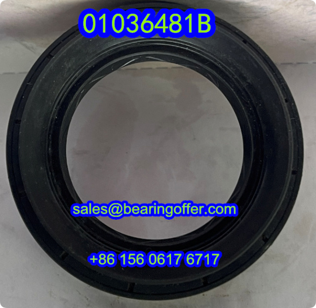 01036481B Oil Seal 39.8x62x8/13 For Differential - Stock for Sale