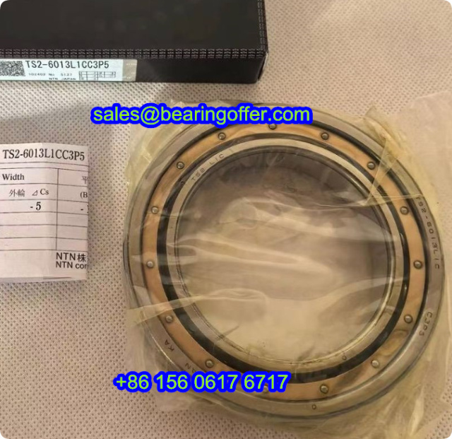 TS2-6013L1CC3P5 Deep Groove Ball Bearing 65x100x18 High Speed TS2-6013L1C - Stock for Sale