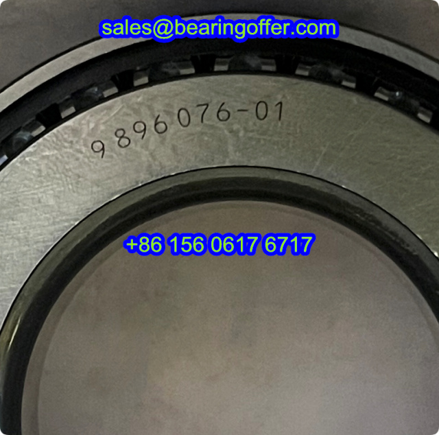 9896076-01 Transmission Bearing 9896076.01 Roller Bearing 9896076 01 - Stock for Sale
