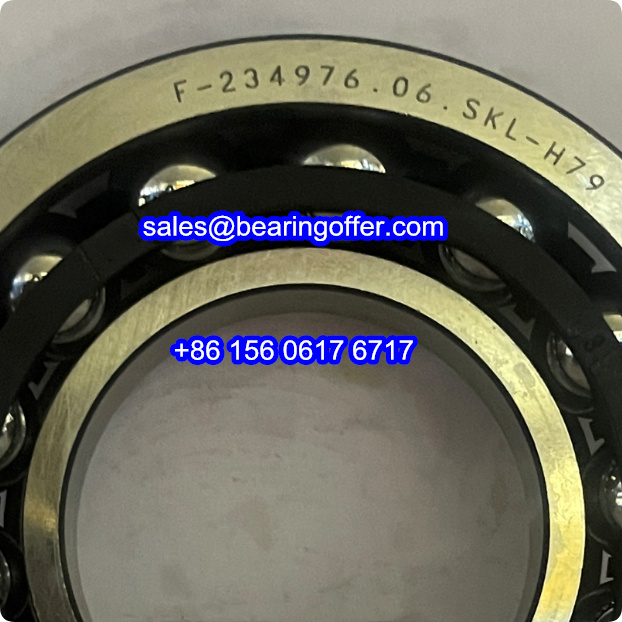 F-234976.06.SKL-H79 BMW Differential Bearing 234976 Ball Bearing ...