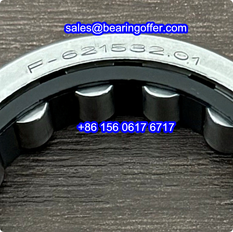 F-621532.01 Transmission Bearing 40x58x14 Roller Bearing F-62153201 - Stock for Sale