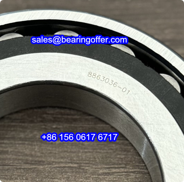 8863036-01 Automobile Bearing 54x94x18 Roller Bearing 8863036.01 - Stock for Sale