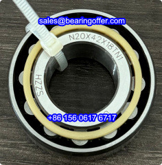 N20X42X18TN1 Automotive Bearing 20x42x18 Roller Bearing N20X42X18 - Stock for Sale