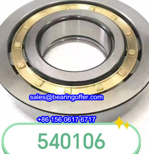 540106 Cylindrical Roller Bearing 60x130x31 Rolling Bearing Z-540106.ZL - Stock for Sale