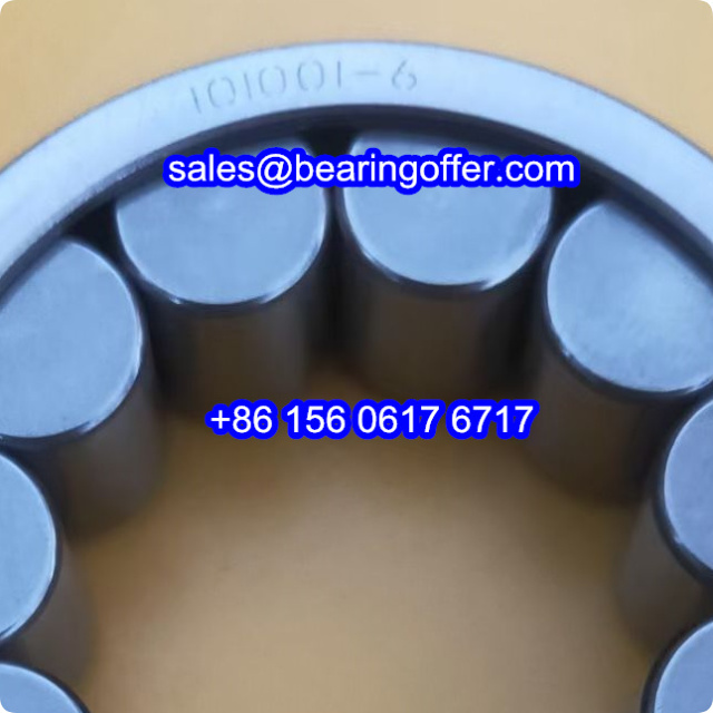 101001-6 Cylindrical Roller Bearing 101001.6 Rolling Bearing - Stock for Sale