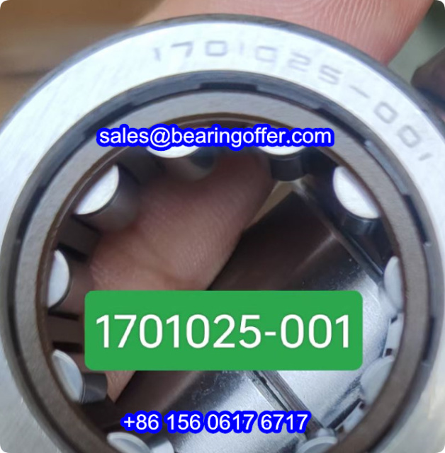 171025-001 Cylindrical Roller Bearing 171025001 Rolling Bearing - Stock for Sale
