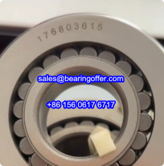 176803615 Cylindrical Roller Bearing 176803615 Rolling Bearing - Stock for Sale