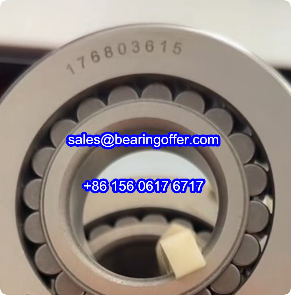 176803615 Cylindrical Roller Bearing 176803615 Rolling Bearing - Stock for Sale