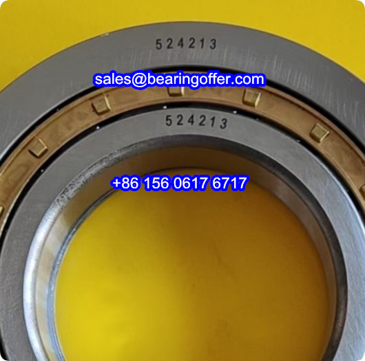 524213 Cylindrical Roller Bearing 524213 Rolling Bearing - Stock for Sale