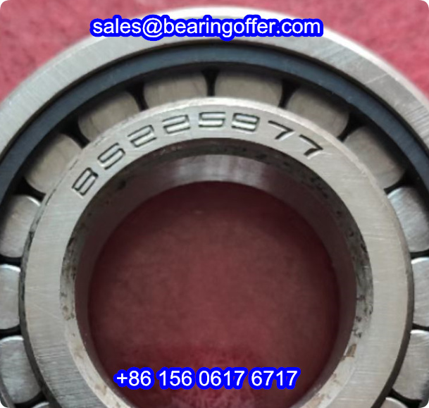 BS225977 Cylindrical Roller Bearing B5225977 Rolling Bearing 85225977 - Stock for Sale