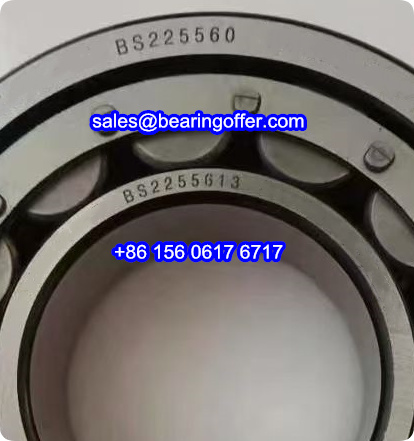 BS2255613 Cylindrical Roller Bearing BS225560 Rolling Bearing - Stock for Sale