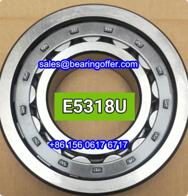 E5318U Cylindrical Roller Bearing E 5318 U Rolling Bearing - Stock for Sale