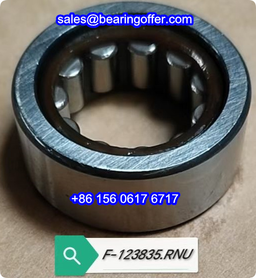 F-123835 Cylindrical Roller Bearing F-123835.6 Rolling Bearing - Stock for Sale